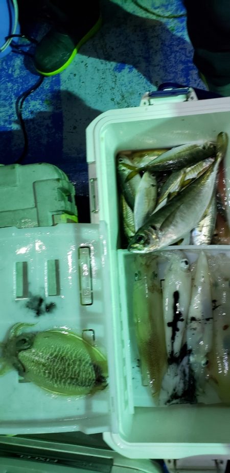 海龍丸（石川） 釣果