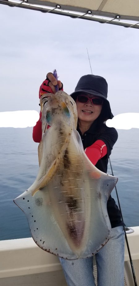 ソルトウォーターガイドフレンズ 釣果