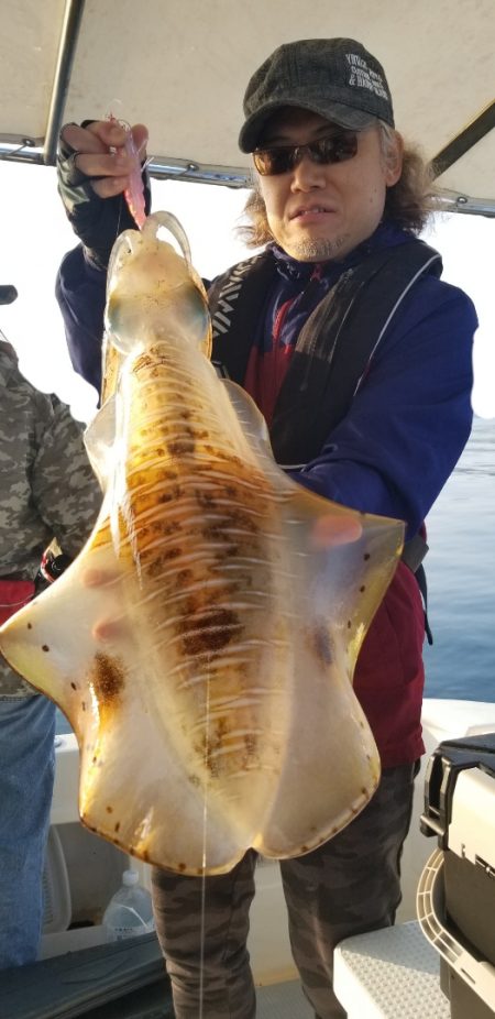 ソルトウォーターガイドフレンズ 釣果