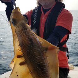 ソルトウォーターガイドフレンズ 釣果