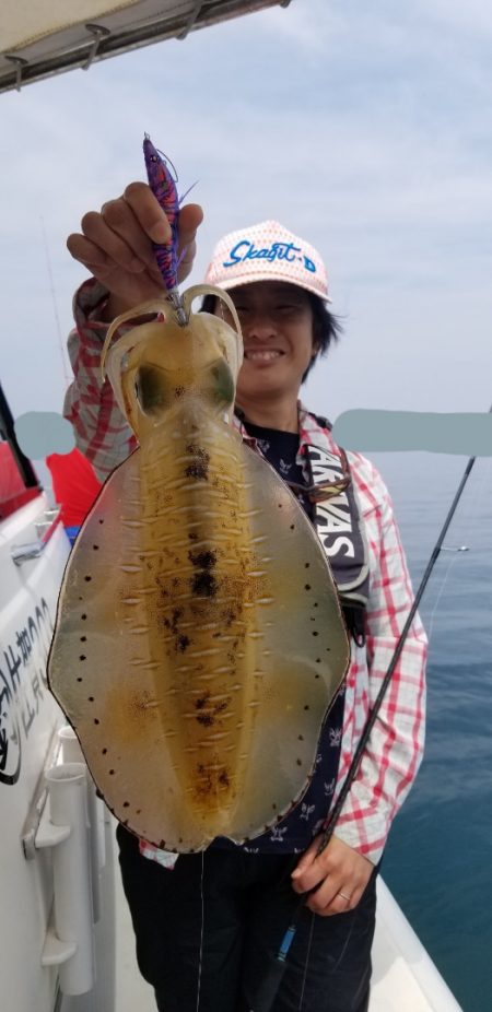 ソルトウォーターガイドフレンズ 釣果