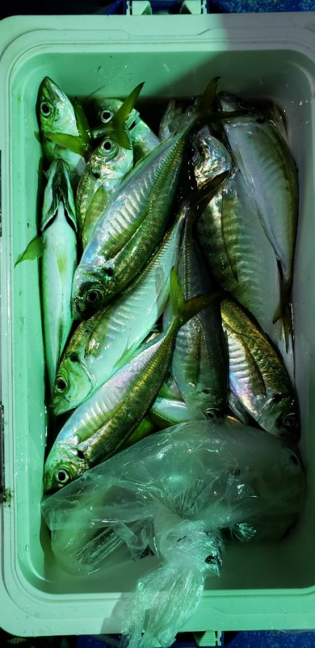 海龍丸（石川） 釣果