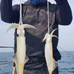 ソルトウォーターガイドフレンズ 釣果