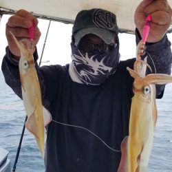 ソルトウォーターガイドフレンズ 釣果