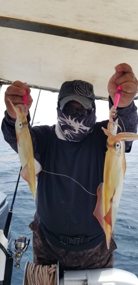 ソルトウォーターガイドフレンズ 釣果