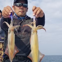 ソルトウォーターガイドフレンズ 釣果