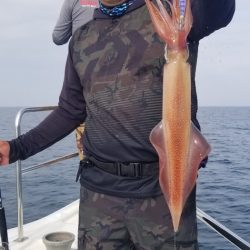 ソルトウォーターガイドフレンズ 釣果