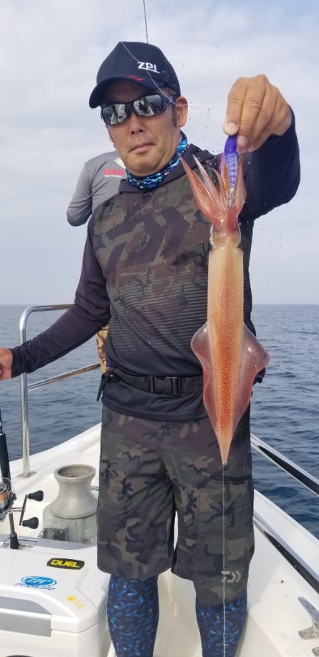 ソルトウォーターガイドフレンズ 釣果