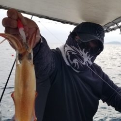 ソルトウォーターガイドフレンズ 釣果