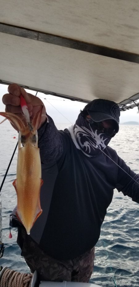 ソルトウォーターガイドフレンズ 釣果