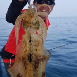 ソルトウォーターガイドフレンズ 釣果