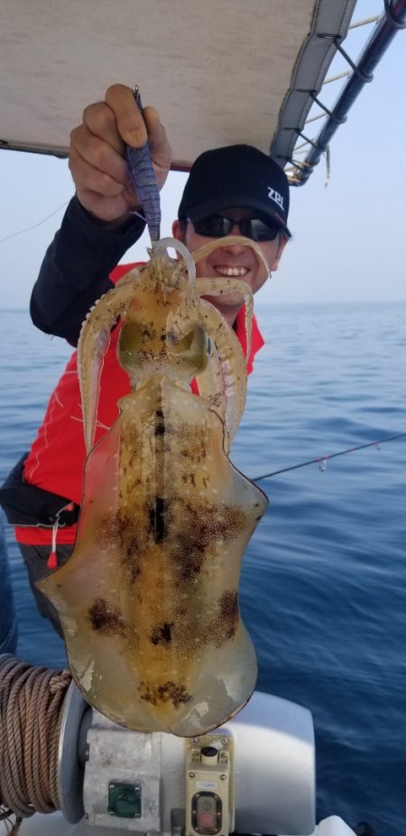 ソルトウォーターガイドフレンズ 釣果