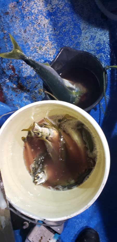 海龍丸（石川） 釣果