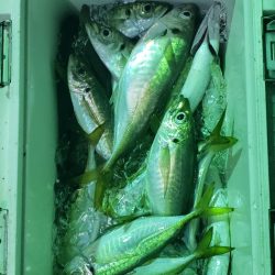 海龍丸（石川） 釣果