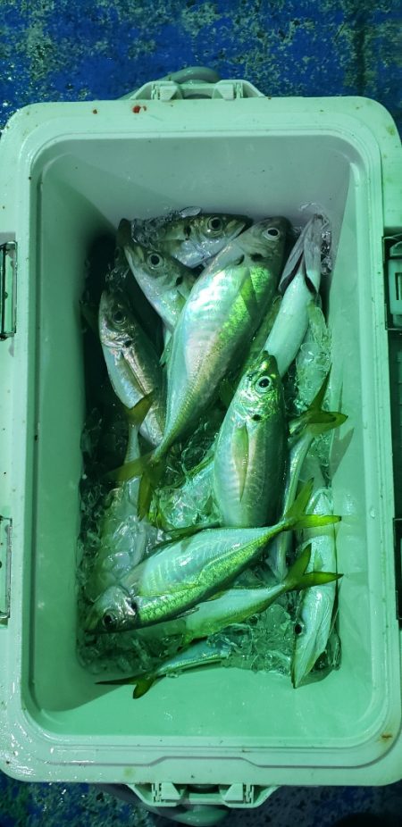 海龍丸（石川） 釣果