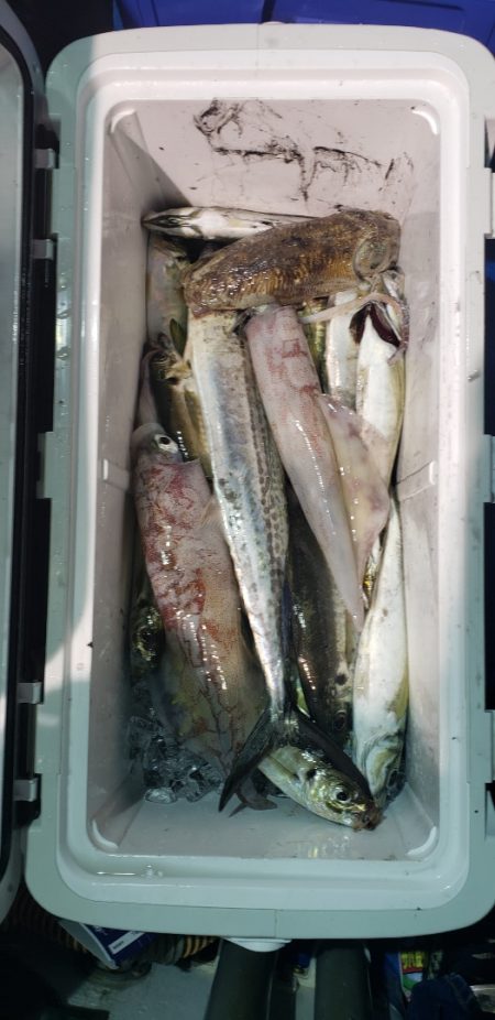 海龍丸（石川） 釣果