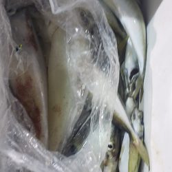 海龍丸（石川） 釣果