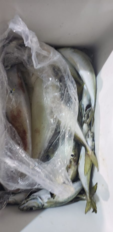 海龍丸（石川） 釣果