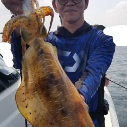 ソルトウォーターガイドフレンズ 釣果