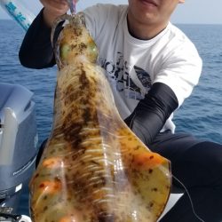 ソルトウォーターガイドフレンズ 釣果