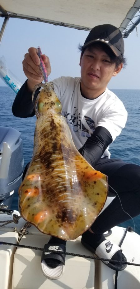 ソルトウォーターガイドフレンズ 釣果