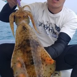 ソルトウォーターガイドフレンズ 釣果