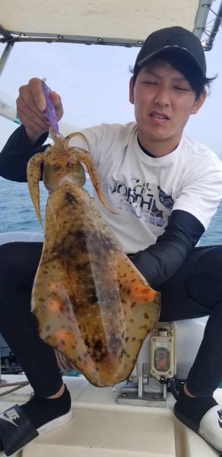 ソルトウォーターガイドフレンズ 釣果