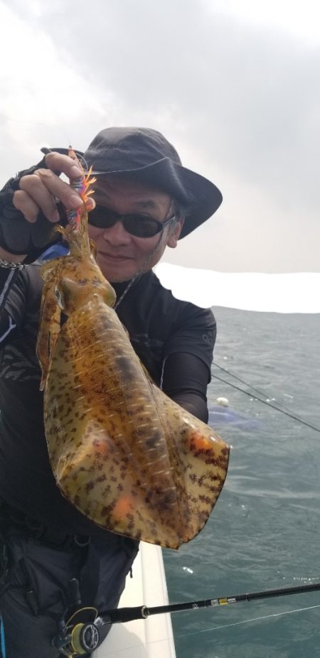 ソルトウォーターガイドフレンズ 釣果