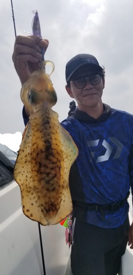 ソルトウォーターガイドフレンズ 釣果