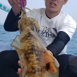 ソルトウォーターガイドフレンズ 釣果