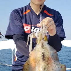 ソルトウォーターガイドフレンズ 釣果