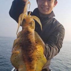 ソルトウォーターガイドフレンズ 釣果