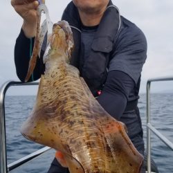 ソルトウォーターガイドフレンズ 釣果