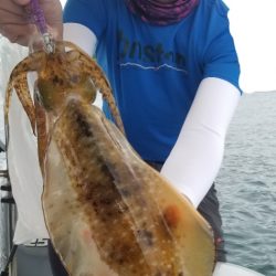 ソルトウォーターガイドフレンズ 釣果