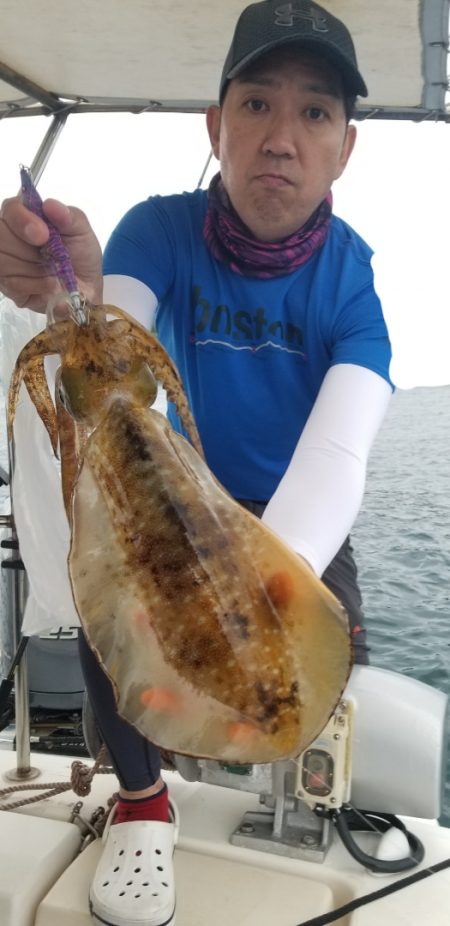 ソルトウォーターガイドフレンズ 釣果