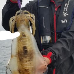 ソルトウォーターガイドフレンズ 釣果