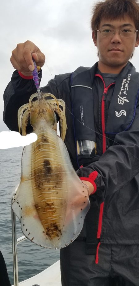 ソルトウォーターガイドフレンズ 釣果