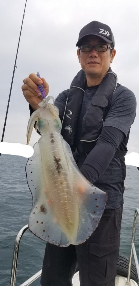 ソルトウォーターガイドフレンズ 釣果