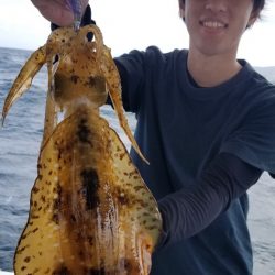 ソルトウォーターガイドフレンズ 釣果