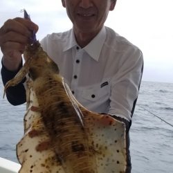 ソルトウォーターガイドフレンズ 釣果