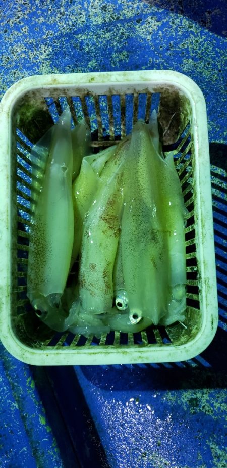 海龍丸（石川） 釣果