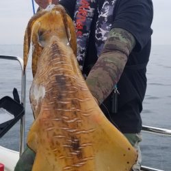 ソルトウォーターガイドフレンズ 釣果