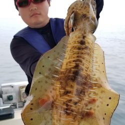 ソルトウォーターガイドフレンズ 釣果