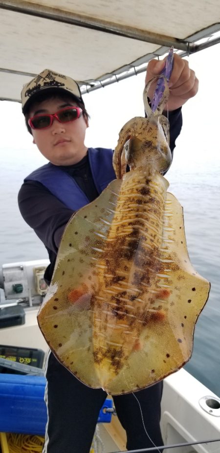 ソルトウォーターガイドフレンズ 釣果