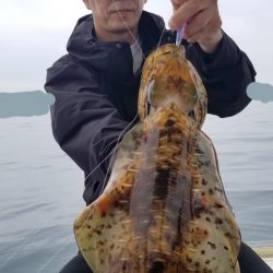 ソルトウォーターガイドフレンズ 釣果