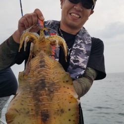 ソルトウォーターガイドフレンズ 釣果