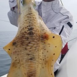 ソルトウォーターガイドフレンズ 釣果