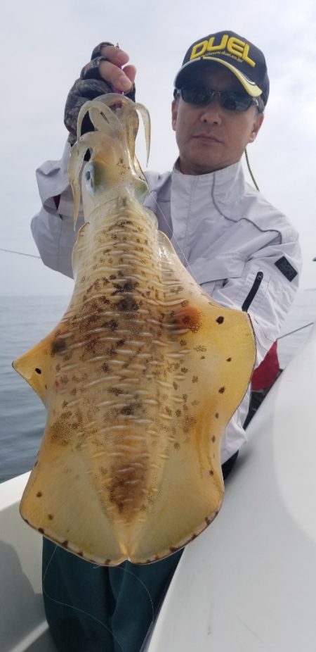 ソルトウォーターガイドフレンズ 釣果