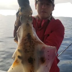 ソルトウォーターガイドフレンズ 釣果