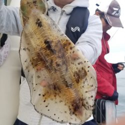 ソルトウォーターガイドフレンズ 釣果